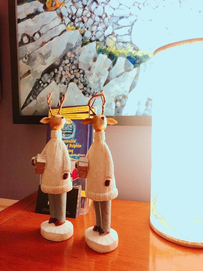 Rose Lodge Guest House コーク エクステリア 写真